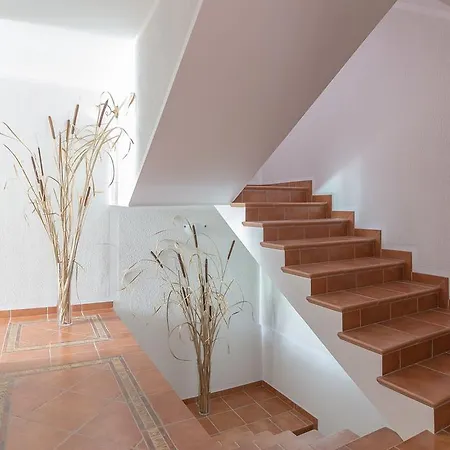 Apartment Ivana *